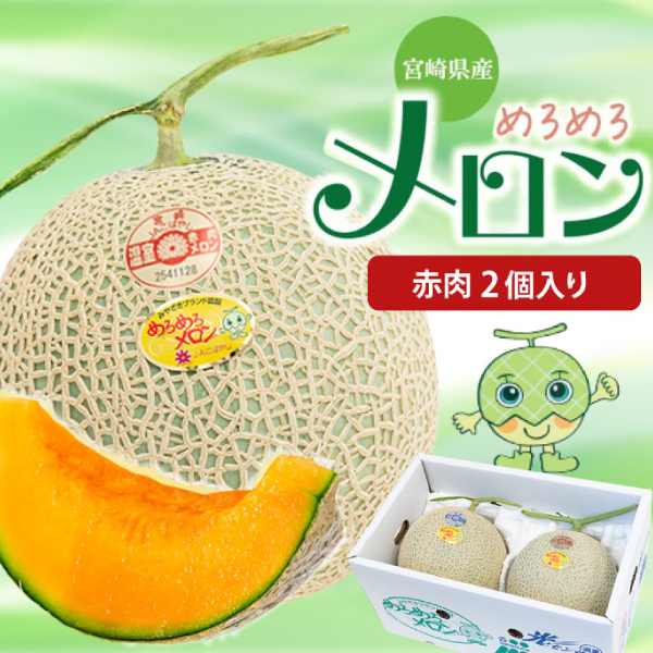 【2026年4月上旬以降順次発送】【宮崎県小林市産 めろめろメロン 赤肉2個入り】芳醇でまろやかな甘みと香り 温室栽培の香り高いメロン