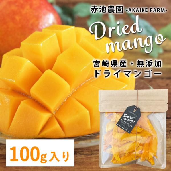 宮崎県産 無添加ドライマンゴー 100g入り