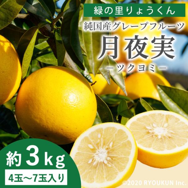 【予約販売 2026年4月上旬発送】純国産 グレープフルーツ 月夜実 ツクヨミ 約3kg(4~7玉) 宮崎県日南市産 緑の里りょうくん