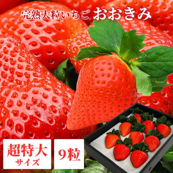 【2026年3月中旬以降発送】宮崎県産 大粒いちご【 おおきみ 超特大サイズ 9粒 1パック 】380g以上(1粒あたり40g以上) 日付指定不可 いちご イチゴ 苺