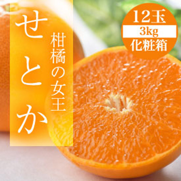【3月下旬以降順次発送】宮崎県産 せとか 12玉 3kg 化粧箱入り みかん 宮崎 贈答 秀品 贈り物 プレゼント